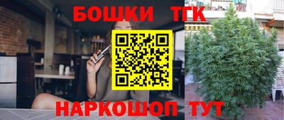 дживик Камышлов